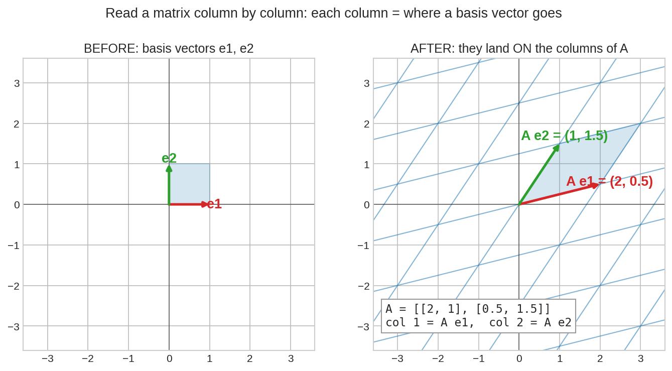 column মানেই basis vector-এর গন্তব্য