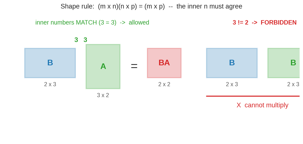 shape rule: ভেতরের মাপ মিললেই গুণ বৈধ