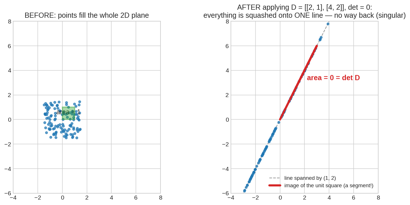 det = 0 squashes the plane onto a line